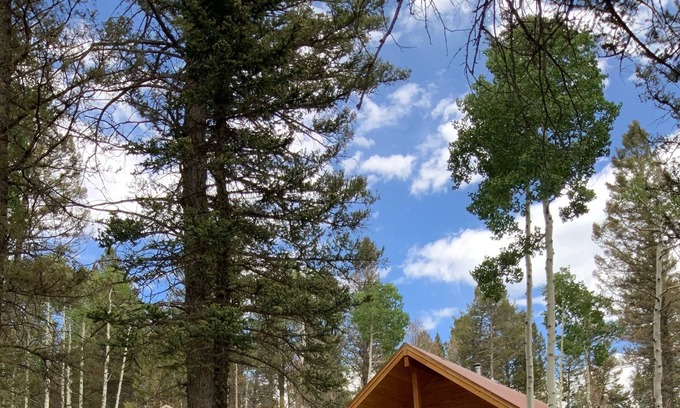 Cimarron House | Cozy Arrowhead Cabin