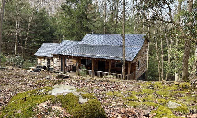 Clarington Cabin | Cozy Bear Cabin in Cook Forest 2 miles from the Clarion River!