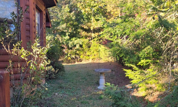 Columbus Cabin | Cozy cabin in charming Columbus. Minutes from Equestrian Center, vineyards etc.