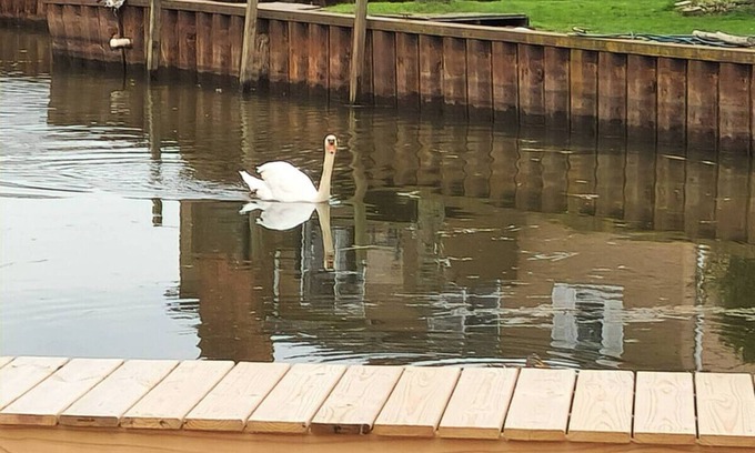 Anchor Bay Harbor Apartment | Cozy Canal Tiny Home | Sleeps 4 | Boat Parking