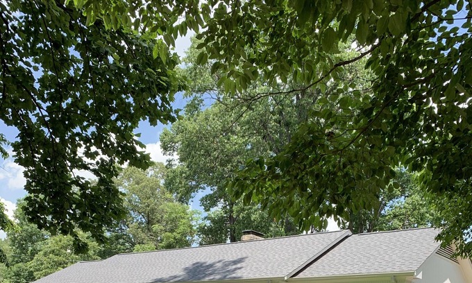 Greensboro House | Cozy Home in Quiet Neighborhood - 10 Minutes to Downtown