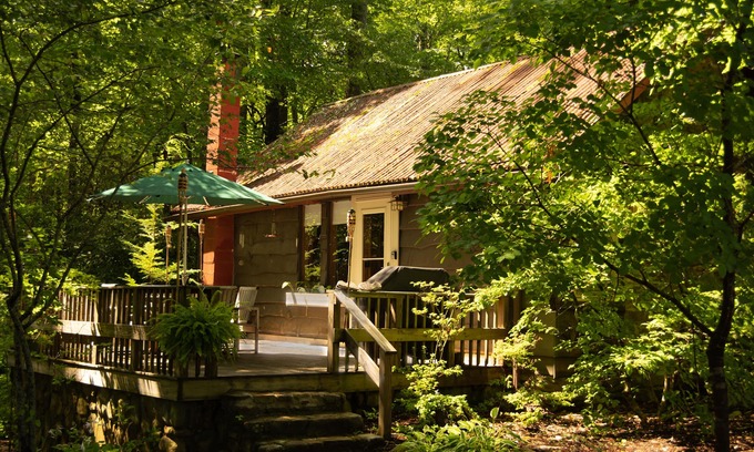 Candler Cabin | Cozy mountain cabin bordering national forest
