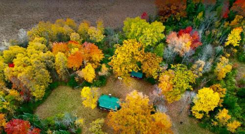 Hale House | Cozy Private Log Cabin on acreage