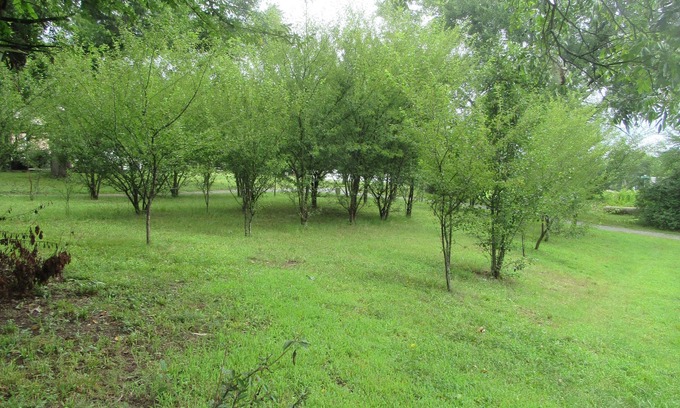 Concord Apartment | Cozy Studio Country Peaceful Charm Concord 2 Minute to Cabarrus Arena