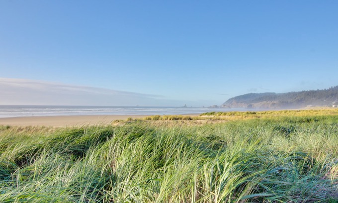 Downtown Cannon Beach Apartment | Cozy studio in a great location with easy beach access - dog-friendly