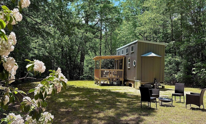 Hendersonville House | Cozy Tiny House minutes from Pisgah and DuPont