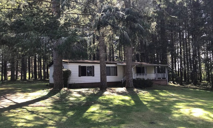 Grapeview House | cozy woods cabin with trail to private beach