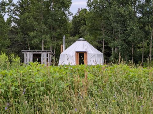 Powassan Other | Cozy Yurt on a Heritage Farm with Trails, Pond, and Sauna