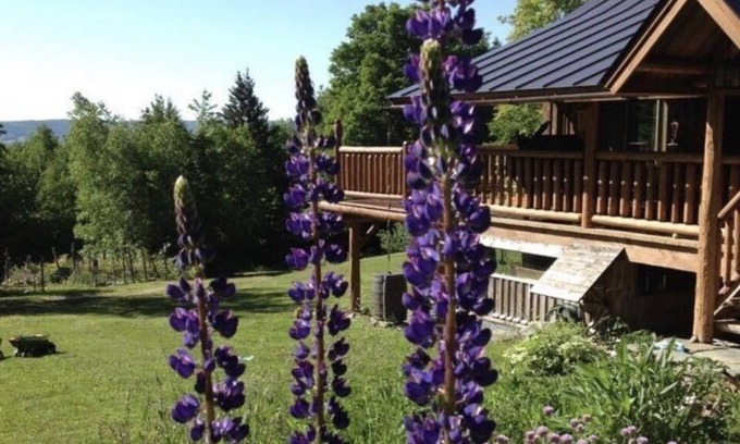 Northfield Cabin | Custom Built Luxury Log Home, Best on property Trout Fishing!