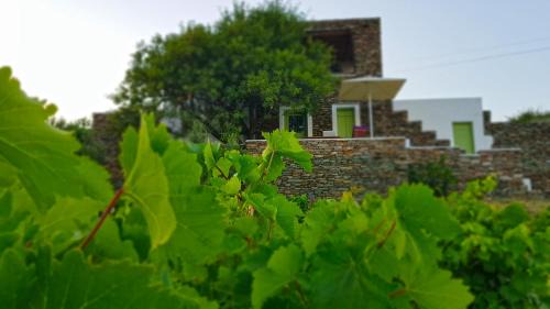 Platis Gialos House | Cycladic Vineyard House