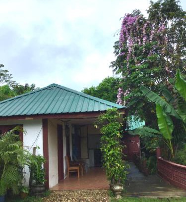 Kuala Tahan Hotel | D view hill hotel
