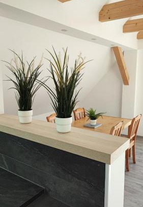 Salder Apartment | Dammstraße 24-DG-ZV38