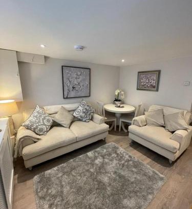 Tavistock Apartment | Dancy Mews Over 30's Only apartment