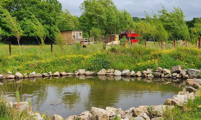 Liverton Cabin | Dartmoor Reach Alpaca Farm