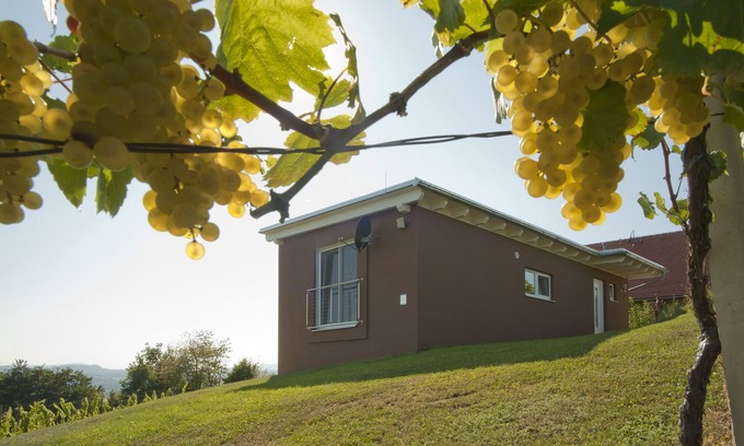 Johnsdorf-Brunn House | "das nussberg" holiday home in the vineyard