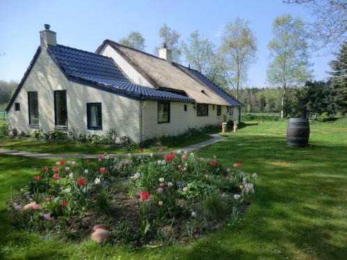 Blesdijke Bed & Breakfast | de Kruik