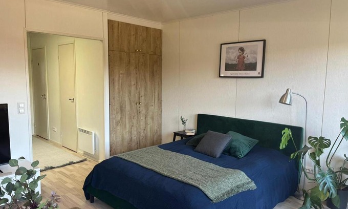 Sakyla Apartment | Decent and cute accommodation in Säkylä