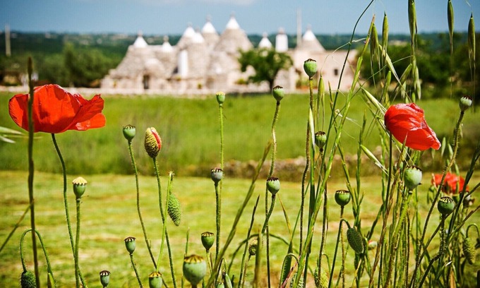 Martina Franca House | Dell'Aia: 1800s trullo house with garden view and ancient farmyard