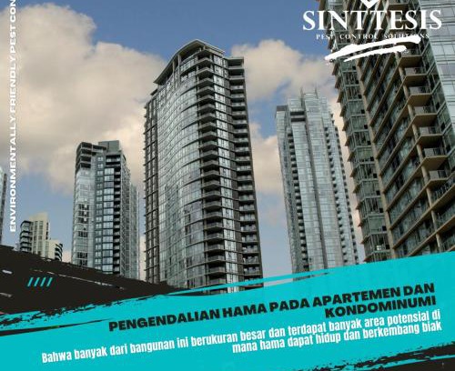 Pancawati Apartment | Den Sunshie