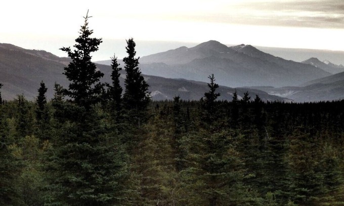 Healy Cabin | Denali Wildlife Grizzly Cabin Luxury with a touch of Rustic.