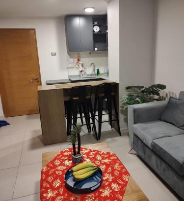Downtown Santiago Apartment | Departamento excelente en Santiago