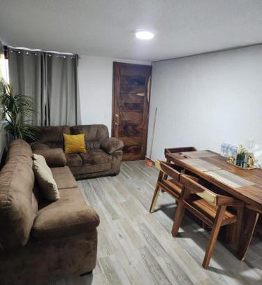 La Palapa Apartment | Departamento las palapas