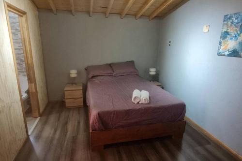 OHiggins Apartment | Departamento Los Leones en Villa O'higgins con WIFI