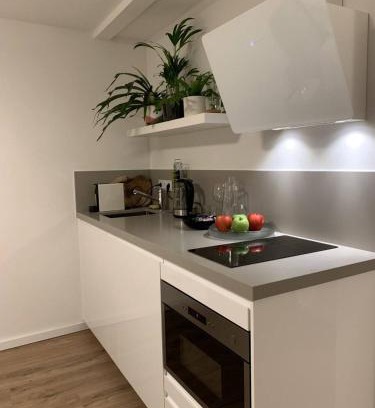 Delft Apartment | Designer Loft Apartment in Delft city new 38B
