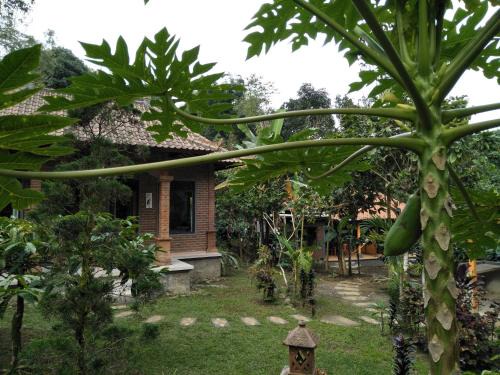 Wongaya Gede House | Dina Homestay