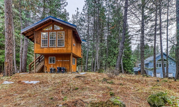 Trout Lake House | Dog-friendly cabin in the woods with kitchenette & stunning mountain views