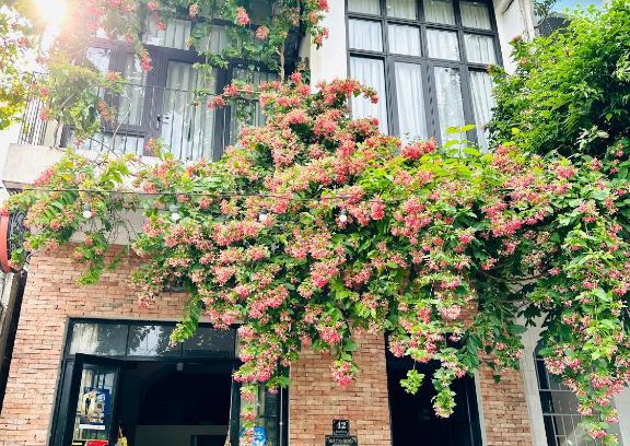 Dong Hoi House | Dolphin Home