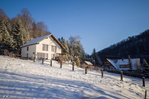Nasiczne Villa | Dom na skraju parku