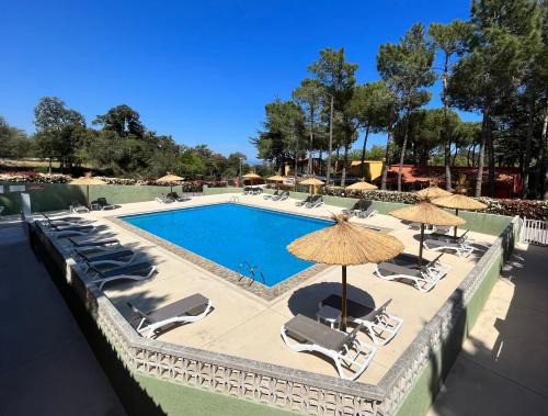 Plage d'Argeles Apartment | Domaine Des Mimosas
