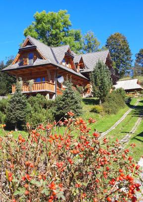 Witow Ski Chalet | Domek Kojsówka
