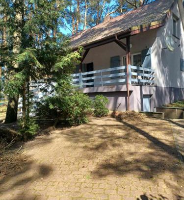 gmina Piotrkow Kujawski House | Domek pod Sosnami nad jeziorem Głuszyńskim