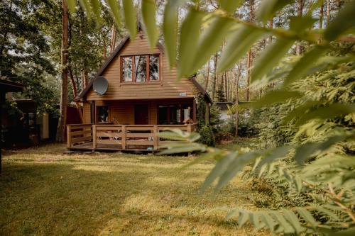 Lukta House | Domek Ptasie Radio