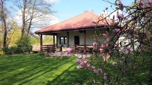Zaluski House | Domek w NABO