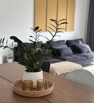 Elen House | Domum