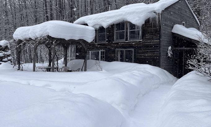 Hyde Park Cabin | Dream Cabin in charming Hyde Park with WiFi access