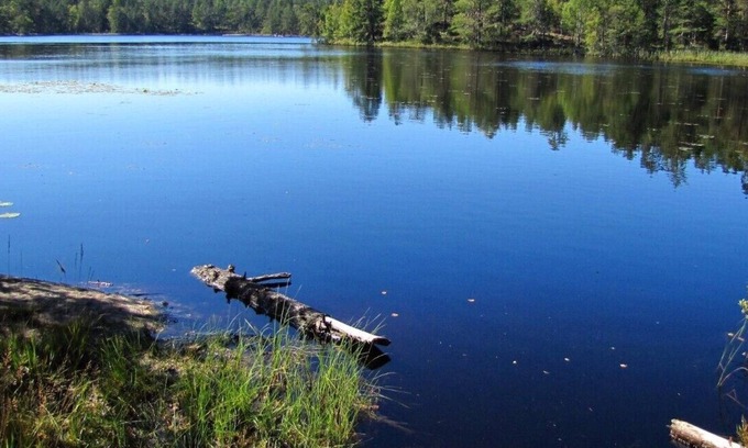 Flemingsberg House | Dream house by the lake, 30 min by car-Stockholm's center, 100 m-nature reserve.