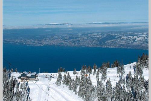 Thollon-les-Memises Apartment | Duplex en station vue sur lac Leman