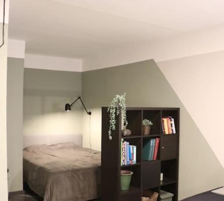 Aluksne Apartment | Dzīvoklis ar skatu pār Alūksni