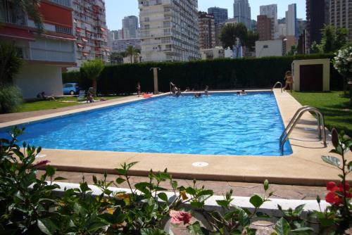 Benidorm Apartment | Edimar - Fincas Arena