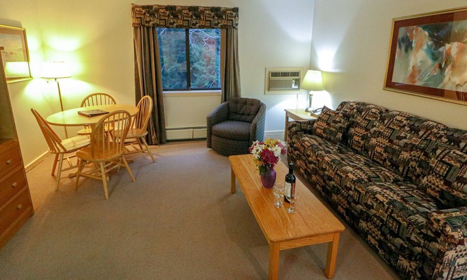 West Bridgewater Apartment | Efficiency with Sleeper Sofa only 221