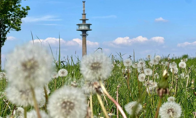 Huertgenwald Condo | Eifel time-out - time-out is Eifel time/up to 4 people + child(ren) + four-legged friend