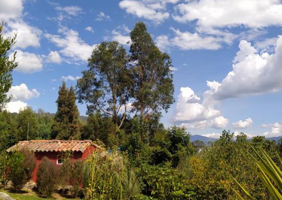Nemocon Ski Chalet | El Chalet de El Refugio de la Loma