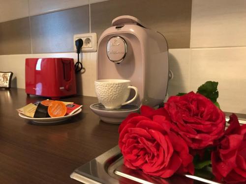 Piatra Neamt Apartment | Eli’s Apartament