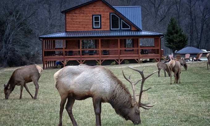 Maggie Valley Cabin | Elk Meadow Lodge ~ New Cabin by Willow Tree Cabins