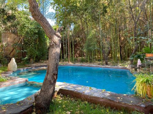 Paihuano House | Elquihostel