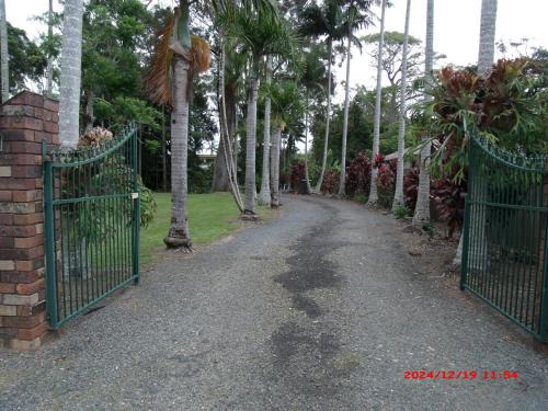 Emerald Beach Bed & Breakfast | Emerald Tropical Palms B & B